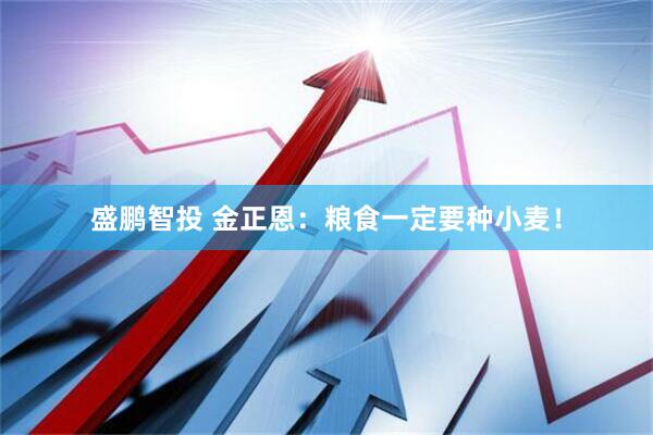盛鹏智投 金正恩：粮食一定要种小麦！
