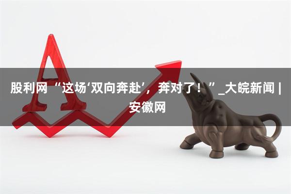 股利网 “这场‘双向奔赴’，奔对了！”_大皖新闻 | 安徽网