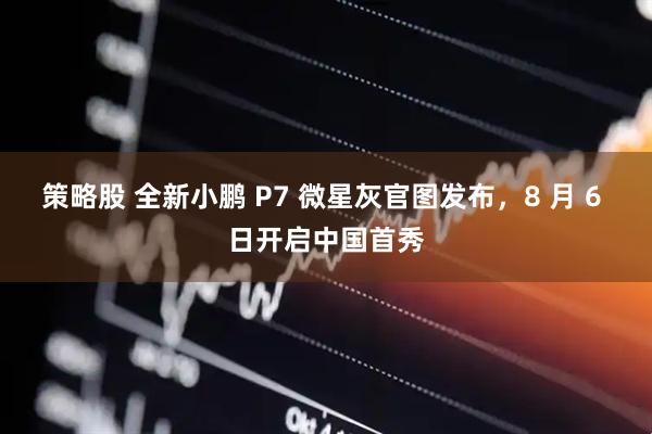 策略股 全新小鹏 P7 微星灰官图发布，8 月 6 日开启中国首秀