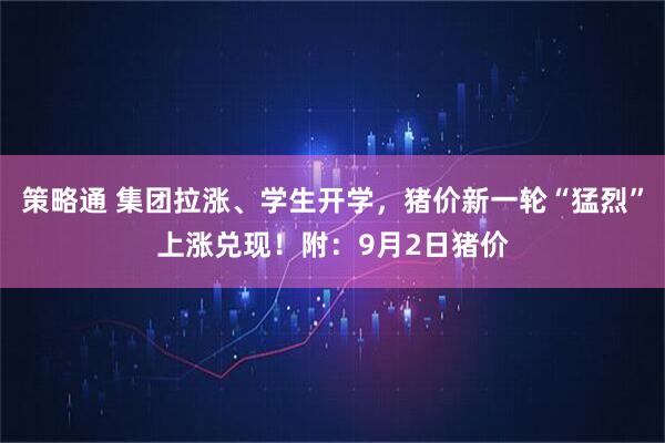策略通 集团拉涨、学生开学,猪价新一轮“猛烈”上涨兑现!附:9月2日猪价