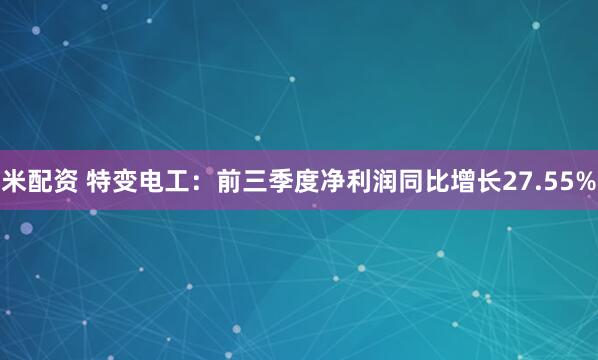 米配资 特变电工：前三季度净利润同比增长27.55%